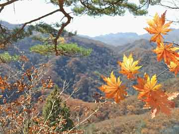 一、pos机新大陆维修电话