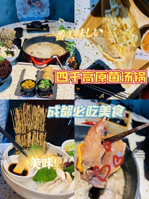 成都清淡美食推荐-成都清淡美食推荐一下