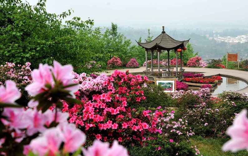 四川成都景点排行榜前十名看花（成都看花的景点有哪些）