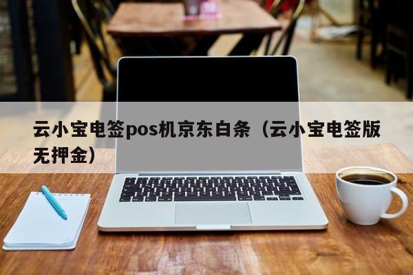 云小宝电签pos机京东白条（云小宝电签版无押金）