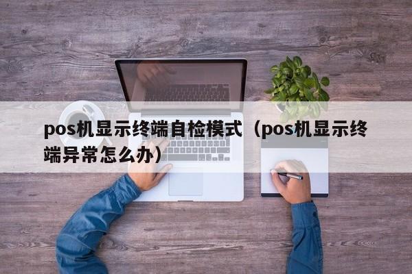 pos机显示终端自检模式（pos机显示终端异常怎么办）