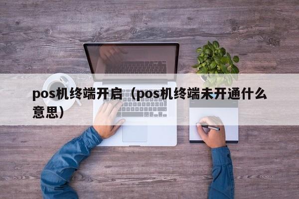 pos机终端开启（pos机终端未开通什么意思）