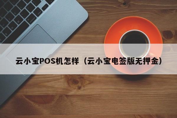 云小宝POS机怎样（云小宝电签版无押金）