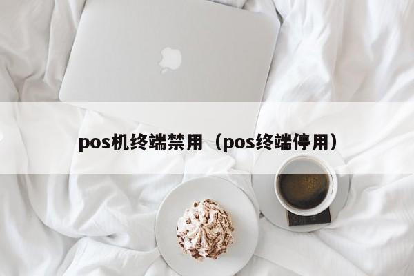 pos机终端禁用（pos终端停用）