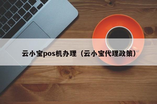 云小宝pos机办理（云小宝代理政策）