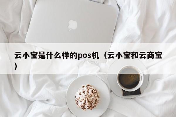 云小宝是什么样的pos机（云小宝和云商宝）