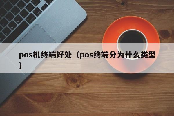 pos机终端好处（pos终端分为什么类型）