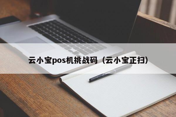 云小宝pos机挑战码（云小宝正扫）