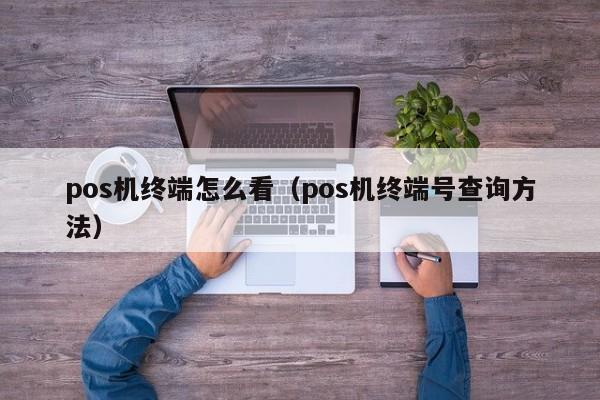 pos机终端怎么看（pos机终端号查询方法）