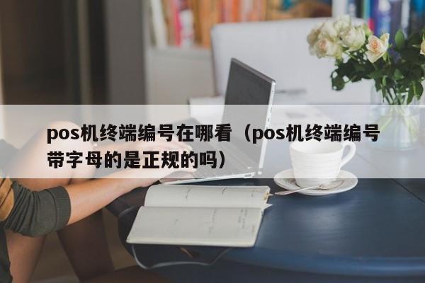 pos机终端编号在哪看（pos机终端编号带字母的是正规的吗）