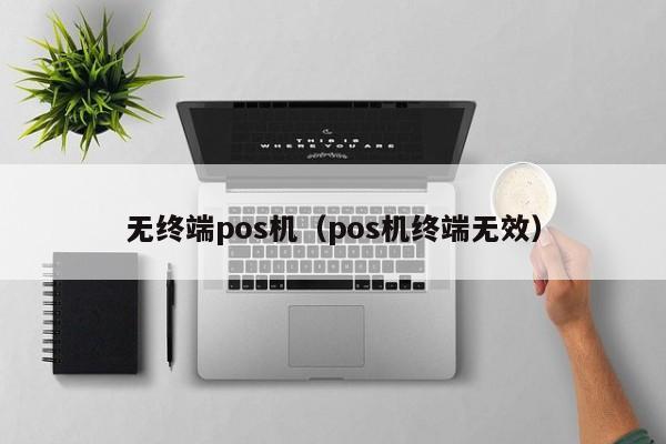 无终端pos机（pos机终端无效）