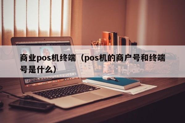 商业pos机终端（pos机的商户号和终端号是什么）