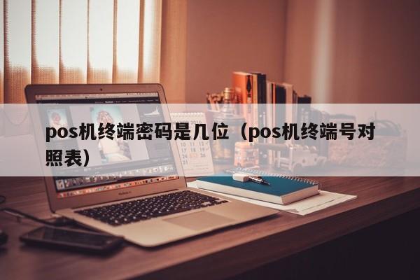 pos机终端密码是几位（pos机终端号对照表）