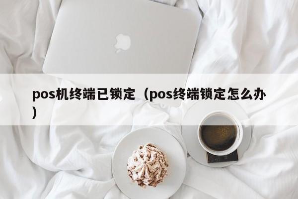 pos机终端已锁定（pos终端锁定怎么办）