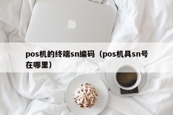 pos机的终端sn编码（pos机具sn号在哪里）