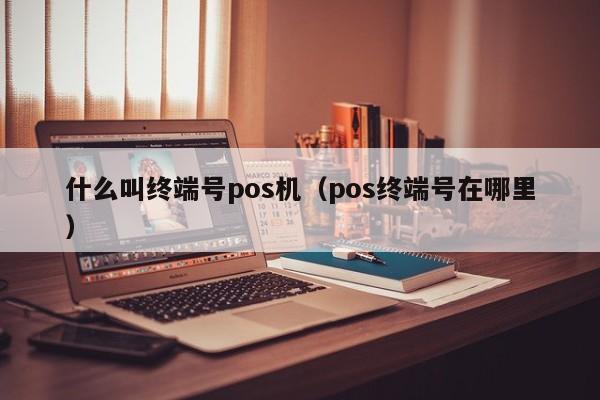 什么叫终端号pos机（pos终端号在哪里）