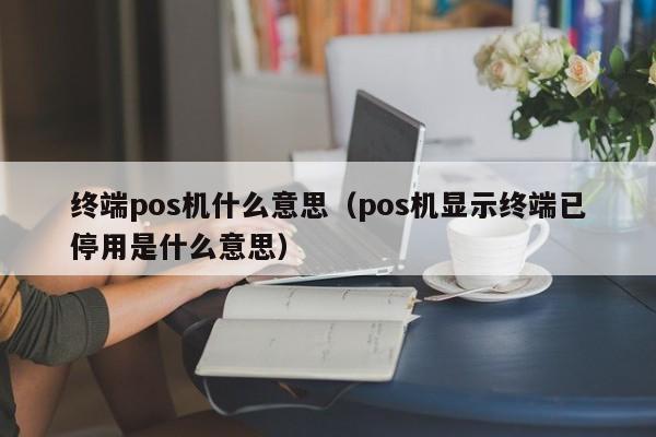 终端pos机什么意思（pos机显示终端已停用是什么意思）