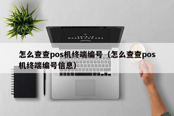 怎么查查pos机终端编号（怎么查查pos机终端编号信息）