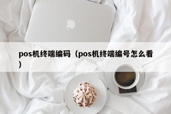 pos机终端编码（pos机终端编号怎么看）