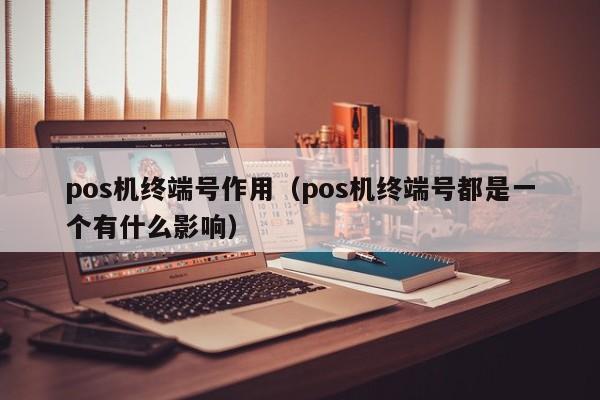 pos机终端号作用（pos机终端号都是一个有什么影响）