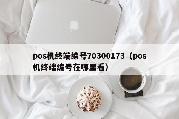 pos机终端编号70300173（pos机终端编号在哪里看）