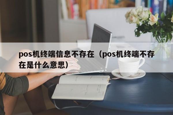 pos机终端信息不存在（pos机终端不存在是什么意思）