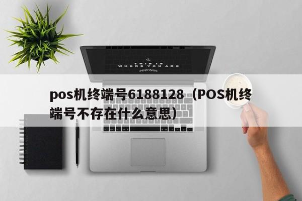 pos机终端号6188128（POS机终端号不存在什么意思）