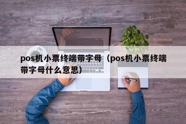 pos机小票终端带字母（pos机小票终端带字母什么意思）