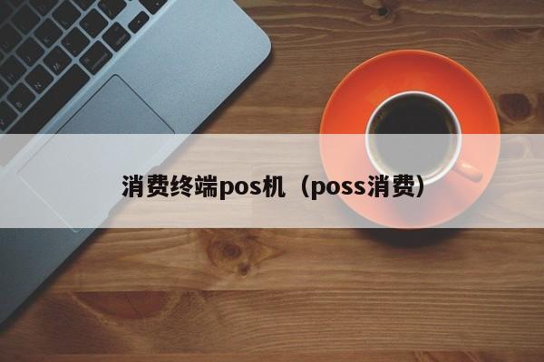 消费终端pos机（poss消费）