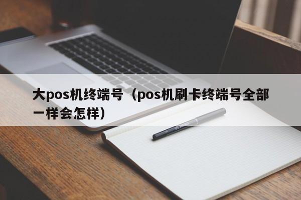 大pos机终端号（pos机刷卡终端号全部一样会怎样）