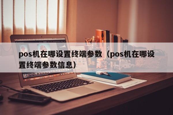 pos机在哪设置终端参数（pos机在哪设置终端参数信息）