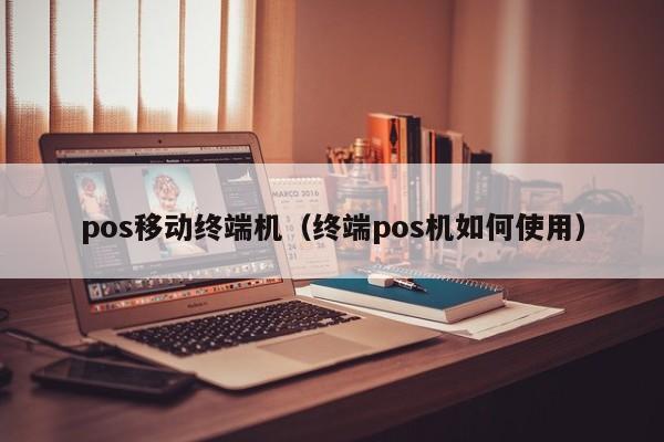 pos移动终端机（终端pos机如何使用）