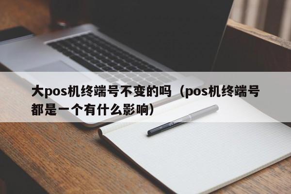 大pos机终端号不变的吗（pos机终端号都是一个有什么影响）