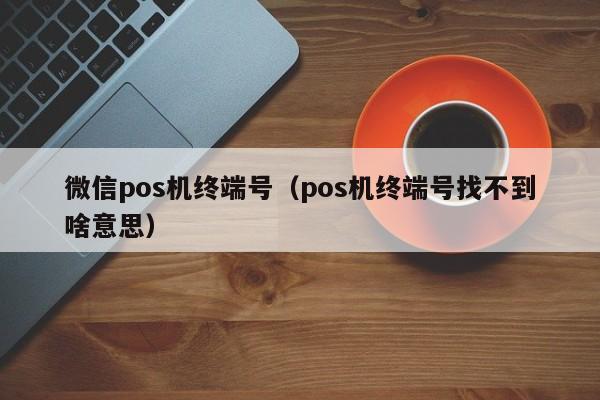 微信pos机终端号（pos机终端号找不到啥意思）