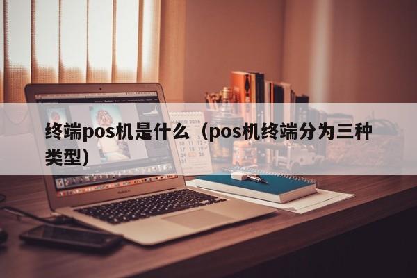 终端pos机是什么（pos机终端分为三种类型）