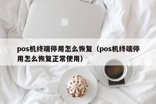 pos机终端停用怎么恢复（pos机终端停用怎么恢复正常使用）