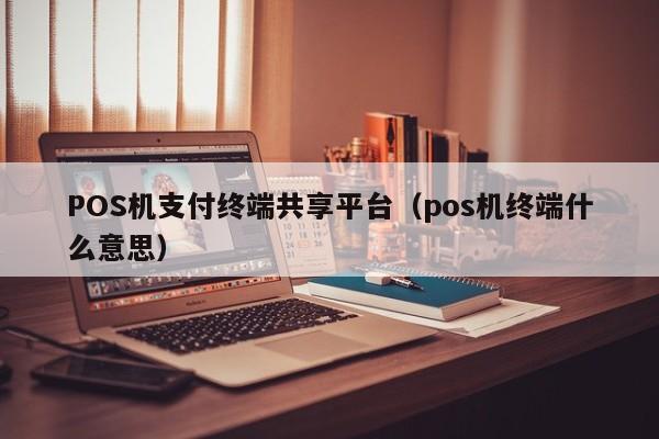 POS机支付终端共享平台（pos机终端什么意思）