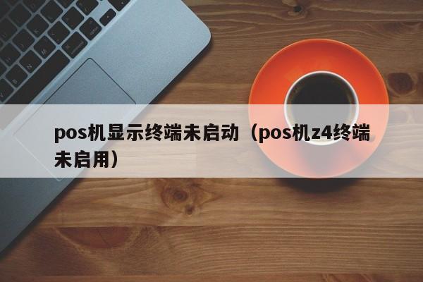 pos机显示终端未启动（pos机z4终端未启用）