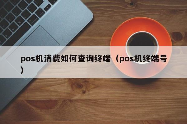 pos机消费如何查询终端（pos机终端号）