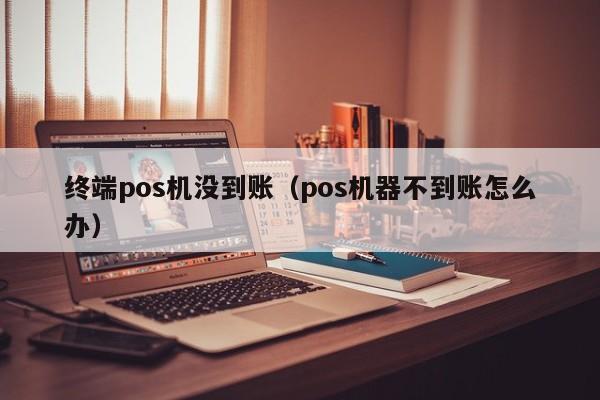 终端pos机没到账（pos机器不到账怎么办）