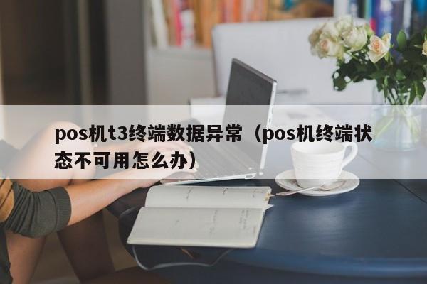 pos机t3终端数据异常（pos机终端状态不可用怎么办）