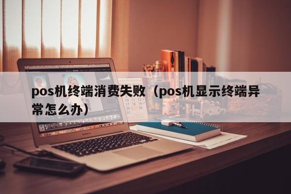 pos机终端消费失败（pos机显示终端异常怎么办）