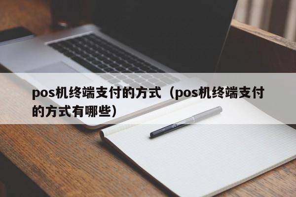 pos机终端支付的方式（pos机终端支付的方式有哪些）