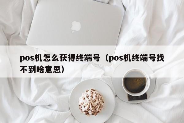 pos机怎么获得终端号（pos机终端号找不到啥意思）