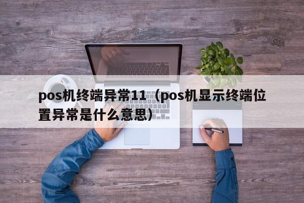 pos机终端异常11（pos机显示终端位置异常是什么意思）