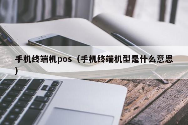 手机终端机pos（手机终端机型是什么意思）