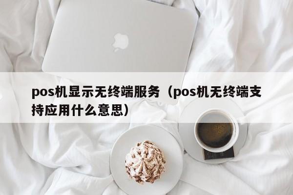 pos机显示无终端服务（pos机无终端支持应用什么意思）