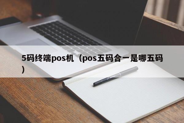 5码终端pos机（pos五码合一是哪五码）