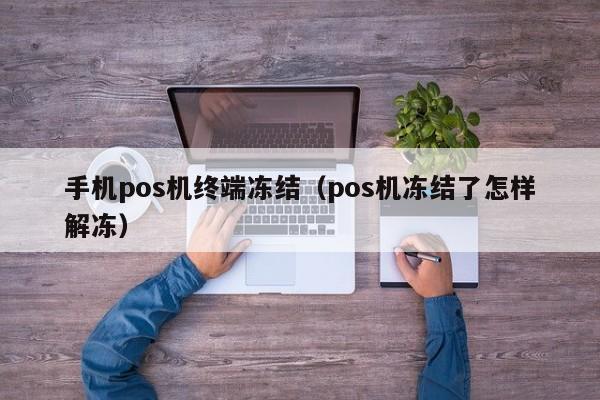 手机pos机终端冻结（pos机冻结了怎样解冻）