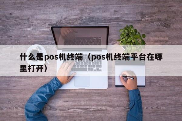 什么是pos机终端（pos机终端平台在哪里打开）